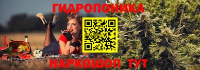 хмурый Будённовск
